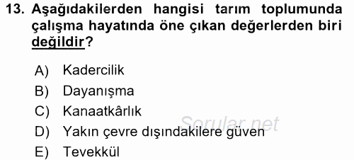 Çalışma Sosyolojisi 2016 - 2017 Dönem Sonu Sınavı 13.Soru
