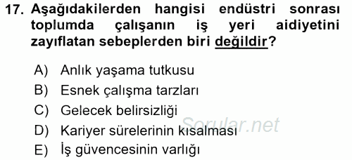 Çalışma Sosyolojisi 2016 - 2017 Dönem Sonu Sınavı 17.Soru