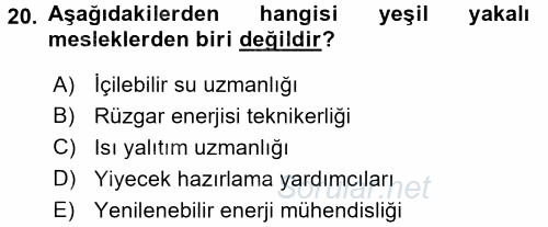 Çalışma Sosyolojisi 2016 - 2017 Dönem Sonu Sınavı 20.Soru