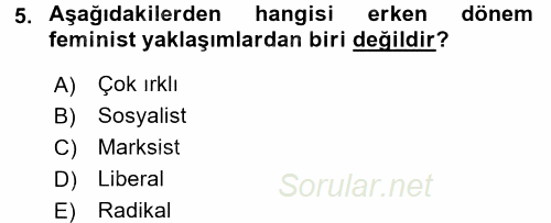 Çalışma Sosyolojisi 2016 - 2017 Dönem Sonu Sınavı 5.Soru