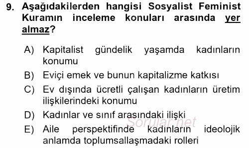 Çalışma Sosyolojisi 2016 - 2017 Dönem Sonu Sınavı 9.Soru