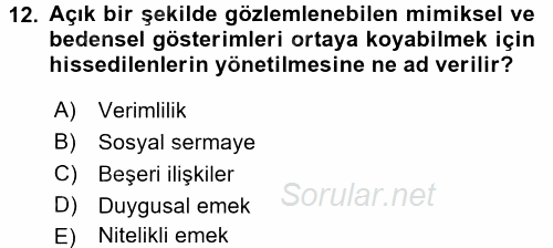 Yeni Teknolojiler ve Çalışma Hayatı 2017 - 2018 3 Ders Sınavı 12.Soru