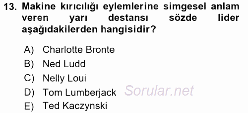Yeni Teknolojiler ve Çalışma Hayatı 2017 - 2018 3 Ders Sınavı 13.Soru