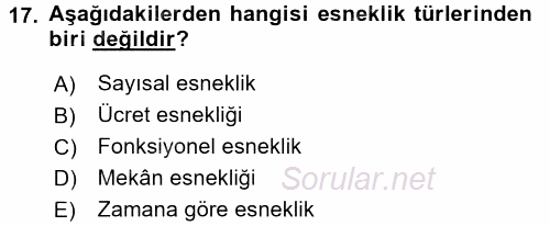 Yeni Teknolojiler ve Çalışma Hayatı 2017 - 2018 3 Ders Sınavı 17.Soru