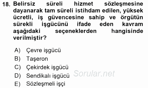 Yeni Teknolojiler ve Çalışma Hayatı 2017 - 2018 3 Ders Sınavı 18.Soru