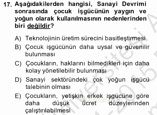 Sosyal Sorunlar 2014 - 2015 Dönem Sonu Sınavı 17.Soru