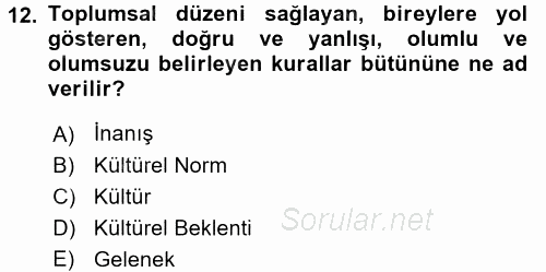 Psiko-Sosyal Rehabilitasyon 2016 - 2017 Dönem Sonu Sınavı 12.Soru