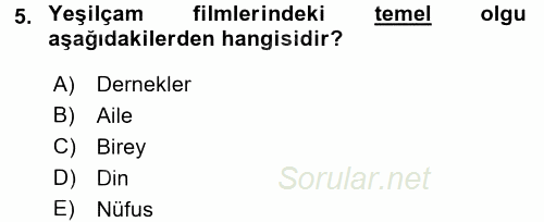 Film ve Video Kültürü 2016 - 2017 3 Ders Sınavı 5.Soru