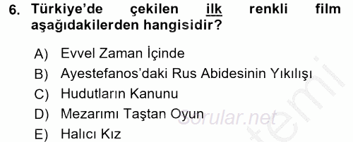 Film ve Video Kültürü 2016 - 2017 3 Ders Sınavı 6.Soru