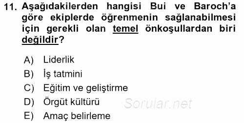 Yönetimde Güncel Yaklaşımlar 2016 - 2017 Ara Sınavı 11.Soru