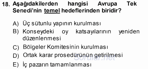 Avrupa Birliği 2014 - 2015 Tek Ders Sınavı 18.Soru