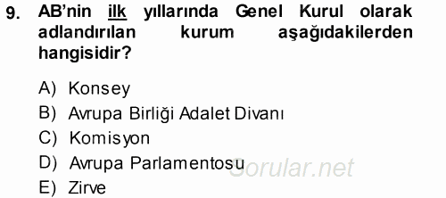Avrupa Birliği 2014 - 2015 Tek Ders Sınavı 9.Soru