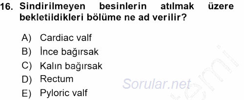 Entomoloji 2015 - 2016 Ara Sınavı 16.Soru