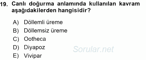 Entomoloji 2015 - 2016 Ara Sınavı 19.Soru