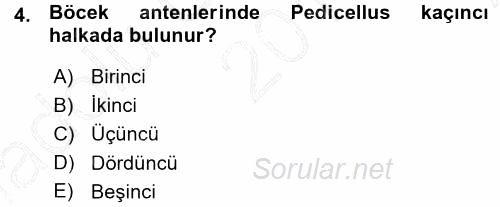 Entomoloji 2015 - 2016 Ara Sınavı 4.Soru