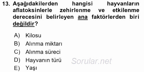 Temel Veteriner Farmakoloji ve Toksikoloji 2015 - 2016 Dönem Sonu Sınavı 13.Soru