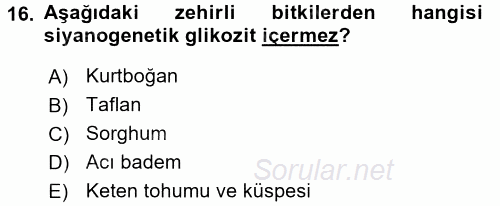 Temel Veteriner Farmakoloji ve Toksikoloji 2015 - 2016 Dönem Sonu Sınavı 16.Soru