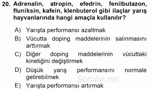 Temel Veteriner Farmakoloji ve Toksikoloji 2015 - 2016 Dönem Sonu Sınavı 20.Soru