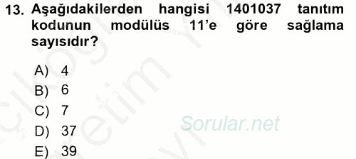 Denetim 2016 - 2017 3 Ders Sınavı 13.Soru