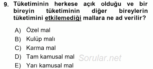 Uluslararası Kamu Maliyesi 2015 - 2016 Ara Sınavı 9.Soru