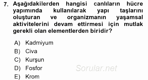 Ekoloji ve Turizm 2017 - 2018 3 Ders Sınavı 7.Soru