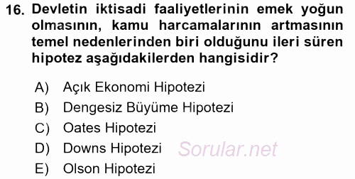 Kamu Ekonomisi 1 2017 - 2018 Ara Sınavı 16.Soru