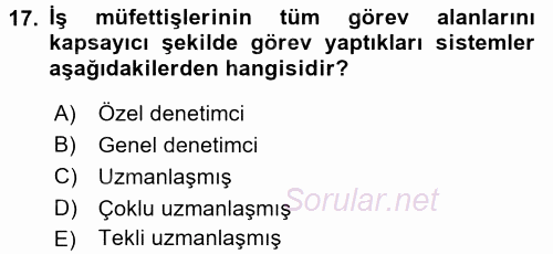 Çalışma Yaşamının Denetimi 2015 - 2016 Tek Ders Sınavı 17.Soru