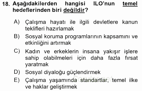 Çalışma Yaşamının Denetimi 2015 - 2016 Tek Ders Sınavı 18.Soru