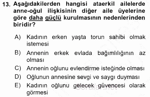 Aile Sosyolojisi 2016 - 2017 3 Ders Sınavı 13.Soru