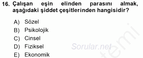 Aile Sosyolojisi 2016 - 2017 3 Ders Sınavı 16.Soru