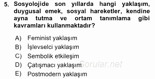 Aile Sosyolojisi 2016 - 2017 3 Ders Sınavı 5.Soru