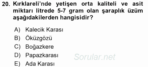 İçecek Bilgisi 2017 - 2018 3 Ders Sınavı 20.Soru