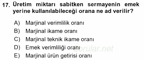 Çalışma Ekonomisi 2016 - 2017 Ara Sınavı 17.Soru