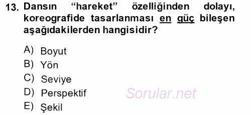 Güzel Sanatlar 2014 - 2015 Tek Ders Sınavı 13.Soru