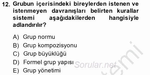 Sosyal Psikoloji 2 2014 - 2015 Ara Sınavı 12.Soru