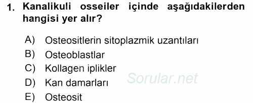 Temel Veteriner Histoloji ve Embriyoloji 2015 - 2016 Dönem Sonu Sınavı 1.Soru