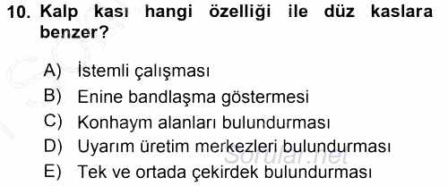 Temel Veteriner Histoloji ve Embriyoloji 2015 - 2016 Dönem Sonu Sınavı 10.Soru