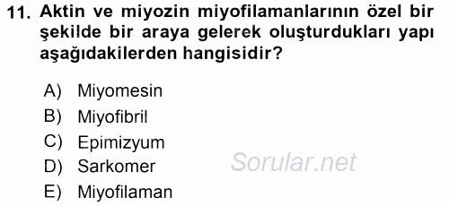 Temel Veteriner Histoloji ve Embriyoloji 2015 - 2016 Dönem Sonu Sınavı 11.Soru