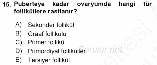 Temel Veteriner Histoloji ve Embriyoloji 2015 - 2016 Dönem Sonu Sınavı 15.Soru