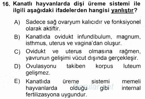 Temel Veteriner Histoloji ve Embriyoloji 2015 - 2016 Dönem Sonu Sınavı 16.Soru
