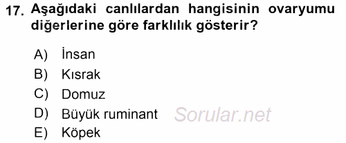 Temel Veteriner Histoloji ve Embriyoloji 2015 - 2016 Dönem Sonu Sınavı 17.Soru