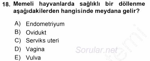 Temel Veteriner Histoloji ve Embriyoloji 2015 - 2016 Dönem Sonu Sınavı 18.Soru