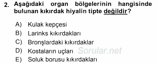 Temel Veteriner Histoloji ve Embriyoloji 2015 - 2016 Dönem Sonu Sınavı 2.Soru