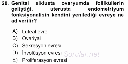 Temel Veteriner Histoloji ve Embriyoloji 2015 - 2016 Dönem Sonu Sınavı 20.Soru