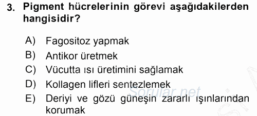 Temel Veteriner Histoloji ve Embriyoloji 2015 - 2016 Dönem Sonu Sınavı 3.Soru