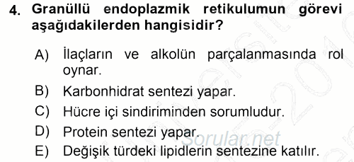 Temel Veteriner Histoloji ve Embriyoloji 2015 - 2016 Dönem Sonu Sınavı 4.Soru