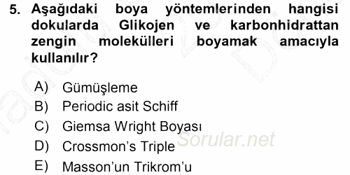 Temel Veteriner Histoloji ve Embriyoloji 2015 - 2016 Dönem Sonu Sınavı 5.Soru