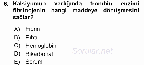 Temel Veteriner Histoloji ve Embriyoloji 2015 - 2016 Dönem Sonu Sınavı 6.Soru