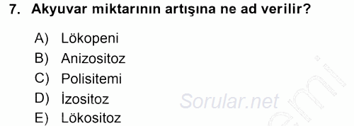 Temel Veteriner Histoloji ve Embriyoloji 2015 - 2016 Dönem Sonu Sınavı 7.Soru
