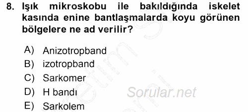 Temel Veteriner Histoloji ve Embriyoloji 2015 - 2016 Dönem Sonu Sınavı 8.Soru